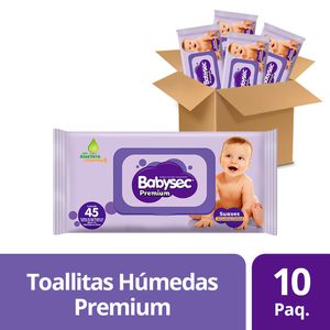 Toallitas Húmedas Babysec Premium 70 Unid. - C&D Ortopedic