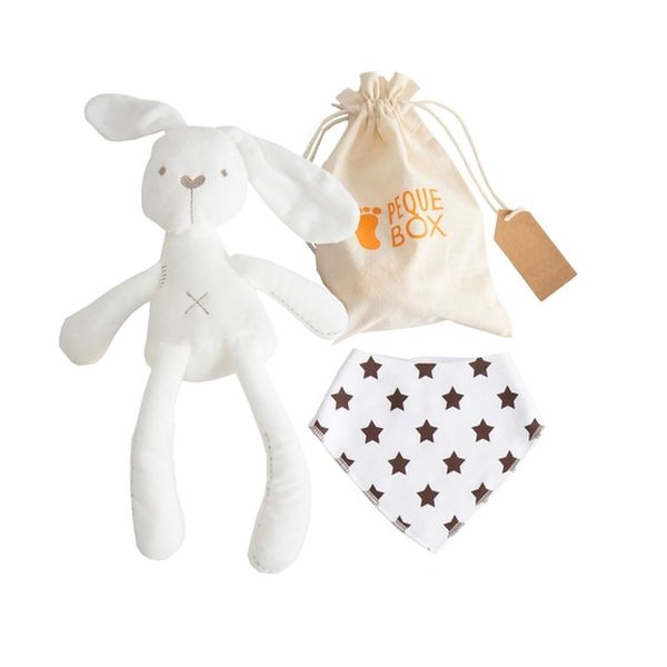 Pack de regalo para recién nacido peluche conejo, PequeBox PequeBox - babytuto.com