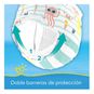 Pañales Desechables Splashers Para Nadar, Talla M-G, 11 un, Pampers Pampers - babytuto.com