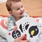 Tarjetas de aprendizaje de alto contraste para bebés + 0 meses, Banana Panda Banana Panda - babytuto.com