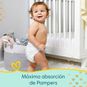Pañales premium care, talla M, 100 un, Pampers  Pampers - babytuto.com