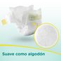 Pañales premium care, talla RN, 36 un, Pampers Pampers - babytuto.com