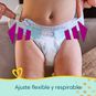 Pañales premium care, talla XXG, 72 un, Pampers Pampers - babytuto.com