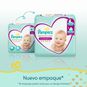 Pañales Desechables Premium Care, Talla XXG, 72 un, Pampers Pampers - babytuto.com