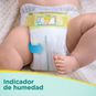 Pañales premium care, talla RN, 56 un, Pampers Pampers - babytuto.com