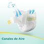 Pañales premium care, talla RN, 56 un, Pampers Pampers - babytuto.com