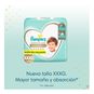 Pañales desechables premium care, talla XXXG, 60 uds, Pampers Pampers - babytuto.com
