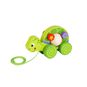 Juguete tortuga de colores Tooky Toy Tooky Toy - babytuto.com